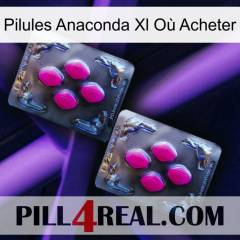 Pilules Anaconda Xl Où Acheter 01